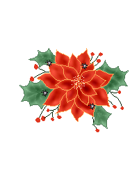 flornochebuena