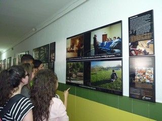 o exposicion 1