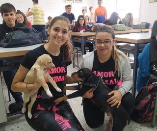 24 charlas 1