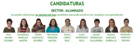 11 candidaturas consejo escolar 450px