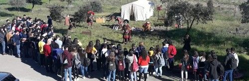 19 olimpiadas 0