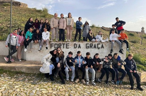 56 elvas