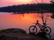 bici