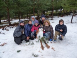 vbgredos04_800