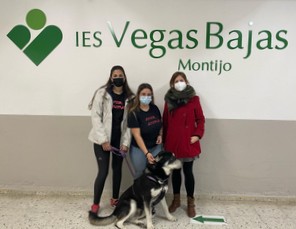 15 animal 1