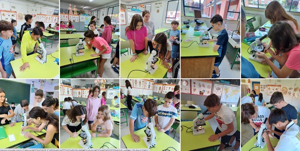 07 biologiamicroscopio 01